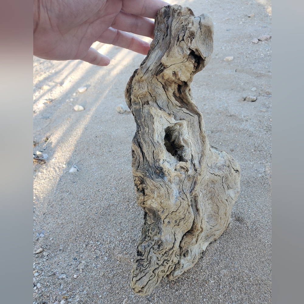 Manzanita Driftwood Home Decor